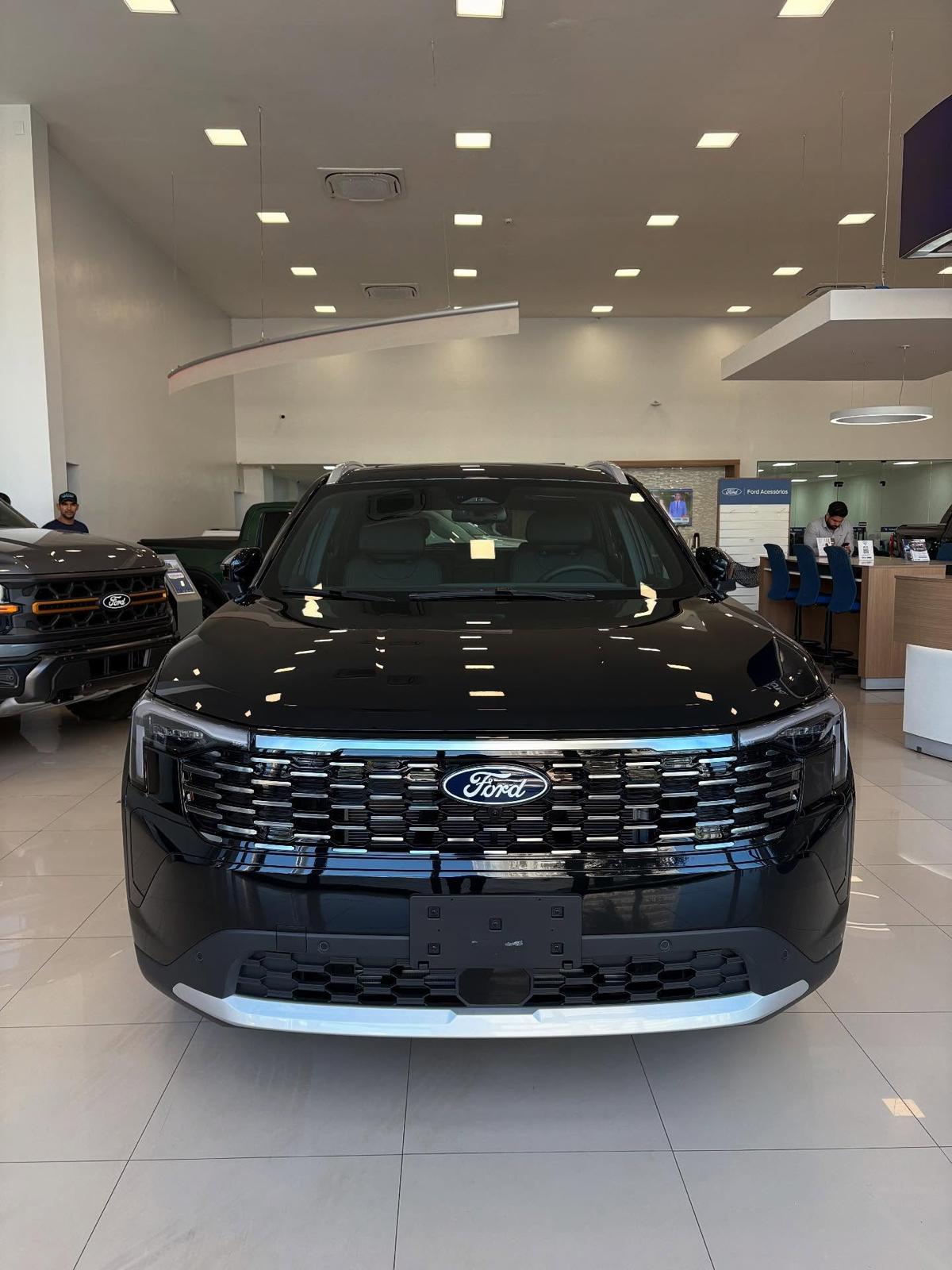 Ford Territory - front grill