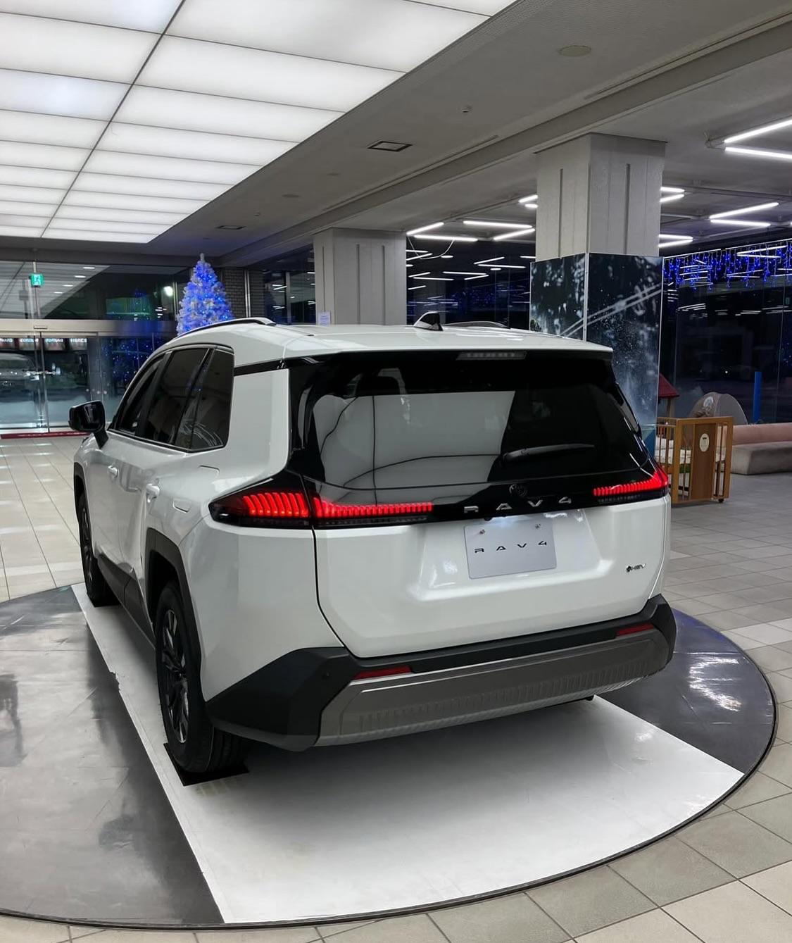 Toyota RAV4 - imagen 7